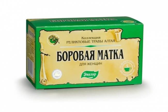 aptechnyj-variant-borovoj-matki-v-vide-chaya-8724861